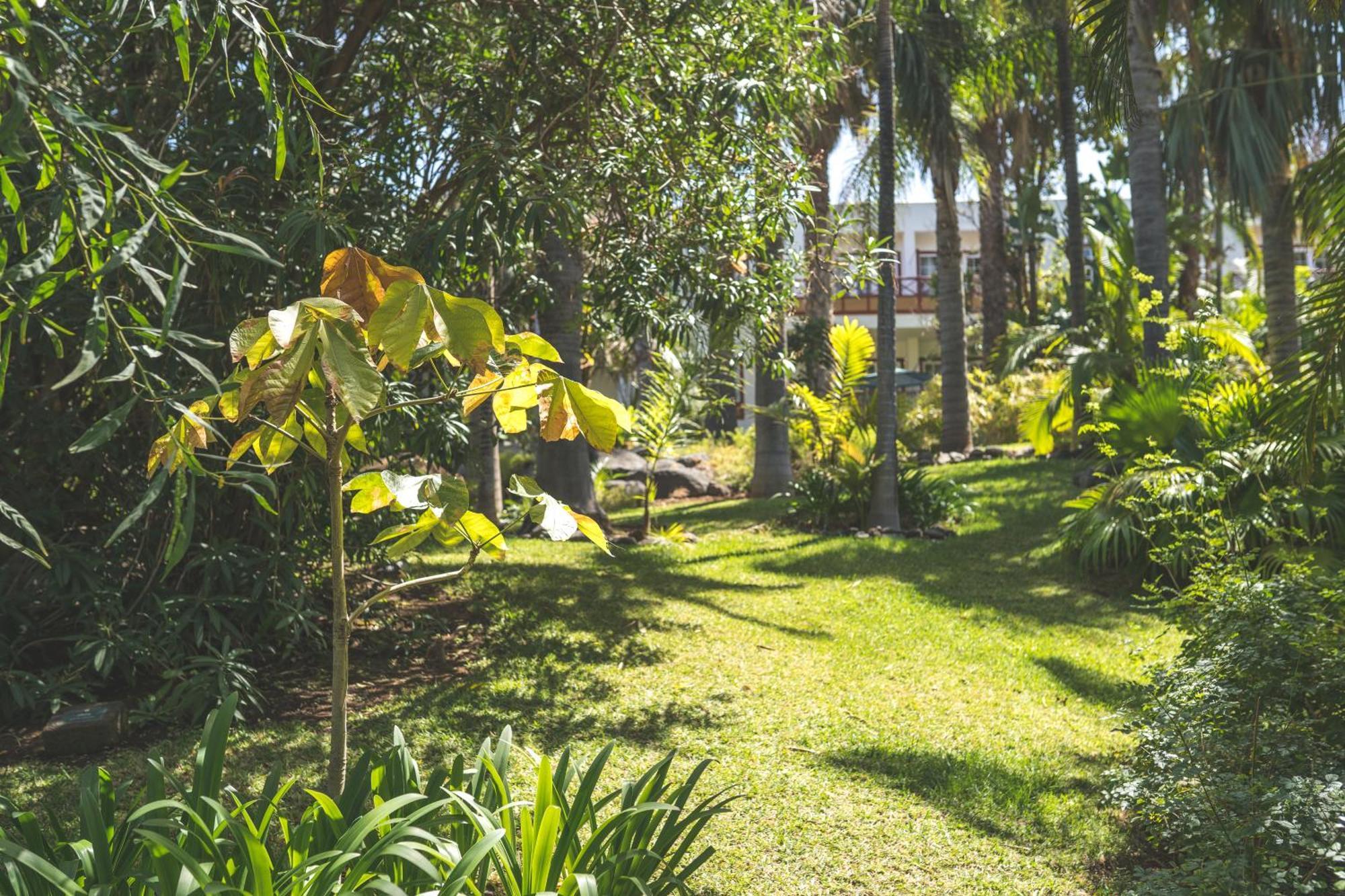 Hacienda San Jorge Hotel Brena Baja Bagian luar foto